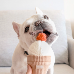 Lambwolf Ice cream