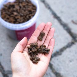 BUDDY Venison Training Snacks