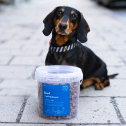 BUDDY Beef Training Snacks