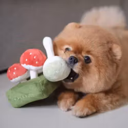 PUPS & BUBS Skogssvampnäsverksleksak