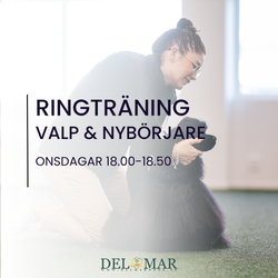 RINGTRÄNINGAR ONSDAGAR “Valpen”  (Grund & Valp/Junior träning)  18.00-18.50