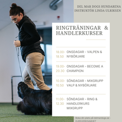 RINGTRÄNINGAR ONSDAGAR “Valpen”  (Grund & Valp/Junior träning)  18.00-18.50