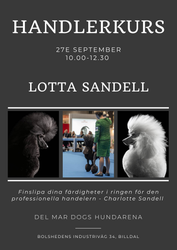 HANDLERKURS 2,5H FÖR LOTTA SANDELL 10.00 - 12.30 - 27e SEP