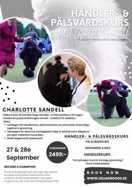 PAKETPRIS - 2 DAGARS HANDLER & PÄLSVÅRDSKURS FÖR LOTTA SANDELL - 27-28e SEP