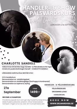 HANDLER & PÄLSVÅRDSKURS FÖR LOTTA SANDELL - 27e SEP 10.00-18.00