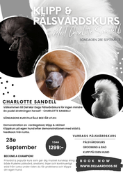 KLIPP & PÄLSVÅRDSKURS FÖR LOTTA SANDELL - 28e SEP 10.00-17.00
