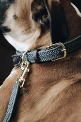 Kentucky Dogwear Flätat Nylon Halsband 32-38CM