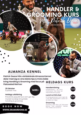 Handler- & Groomingkurs med Patrick Oware 25e Okt 10.00-18.00
