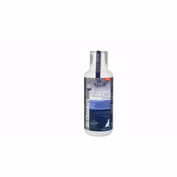 JOINT SERUM 400ML