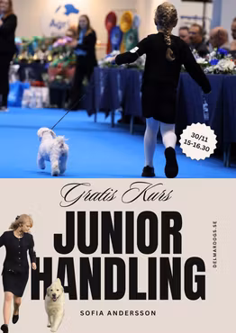GRATIS JUNIORHANDLERKURS FÖR SOFIA ANDERSSON 10.00 - 12.30