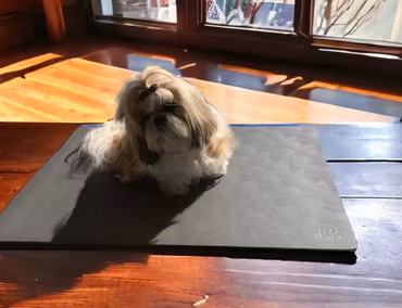 B&B - Grooming Matta 60x90