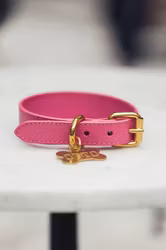 Color Of Sweden - Hot Pink Collar