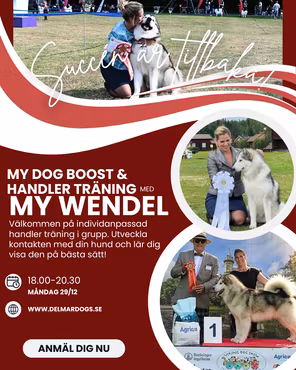 HANDLERKURS 2,5H FÖR MY WENDEL 18.00-20.30