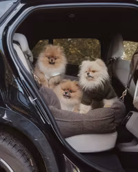 BY TEDDY - The Cosy Car Seat X-Large Chocolate