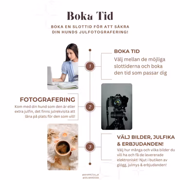 JULFOTOGRAFERING HUND