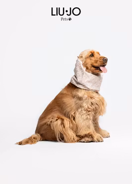 LIU JO PETS - Huva