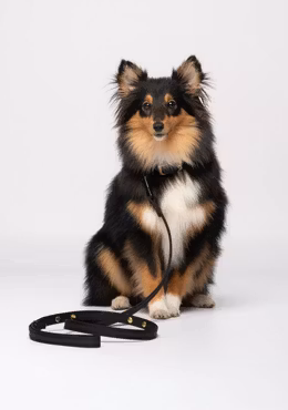 LIU JO PETS - Koppel med hjärtan