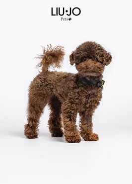 LIU JO PETS - Halsband med hjärtan