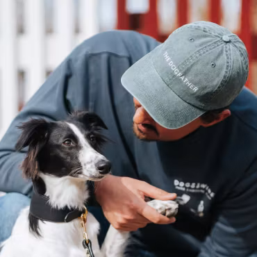 Collar Of Sweden - Keps Grön "The Dog Father"