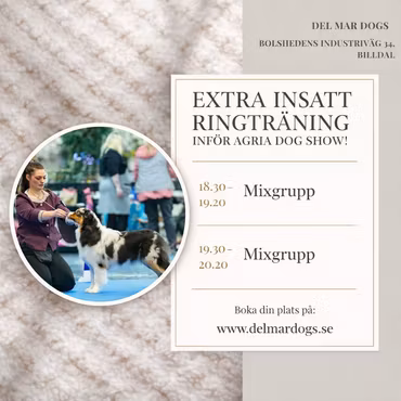 RINGTRÄNING 2 PASS 25/2 - EXTRA INSATT INFÖR AGRIA DOG SHOW/JÖNKÖPING