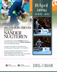 HELDAGS RETRIEVER EVENT - SANDER NUGTEREN 18/4 10.00-16.00