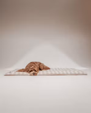 BY TEDDY - Summer Breeze Cooling Mat