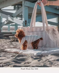 BY TEDDY - Hazelnut Stripe | Summer Breeze Cooling Vest