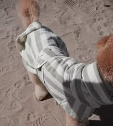 BY TEDDY - Matcha Stripe | Cosy Drying Robe