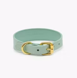 Collar Of Sweden - Mint Collar