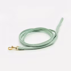 Collar Of Sweden - Mint Lead