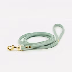 Collar Of Sweden - Mint Lead