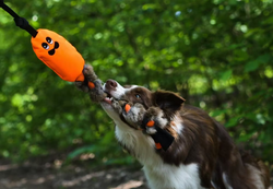 K9 Råtta i softshell med kaninpäls
