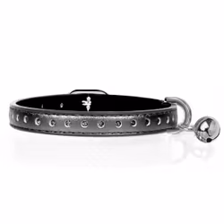 Milk & Pepper Vega Collar Titan