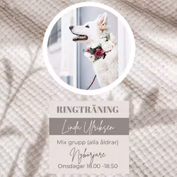RINGTRÄNING NYBÖRJARE ONSDAGAR 18.00-18.50