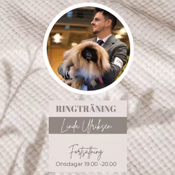 RINGTRÄNING FORTSÄTTNING ONSDAGAR 19.00-20.00