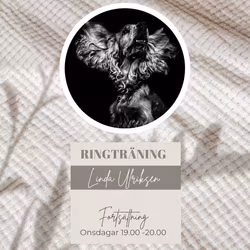 RINGTRÄNING FORTSÄTTNING ONSDAGAR 19.00-20.00