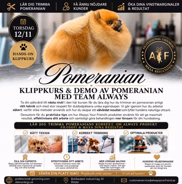 Always Academy Sweden, Billdal - Pomeranian Klippkurs Torsdag 12/11