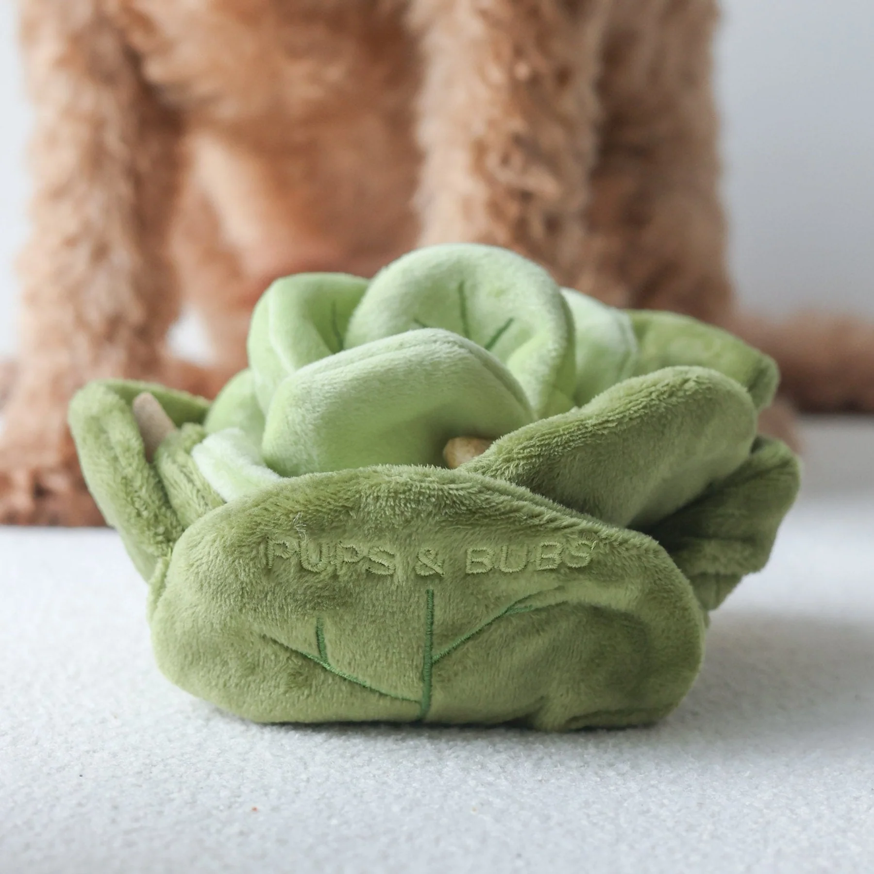 PUPS & BUBS - Snuffle Cabbage