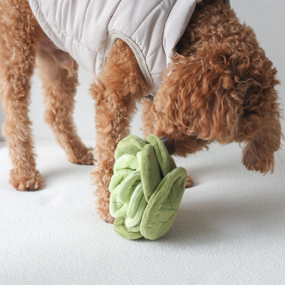 PUPS & BUBS - Snuffle Cabbage