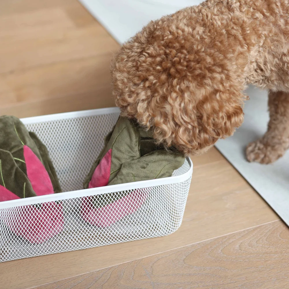 PUPS & BUBS - Snuffle Swiss