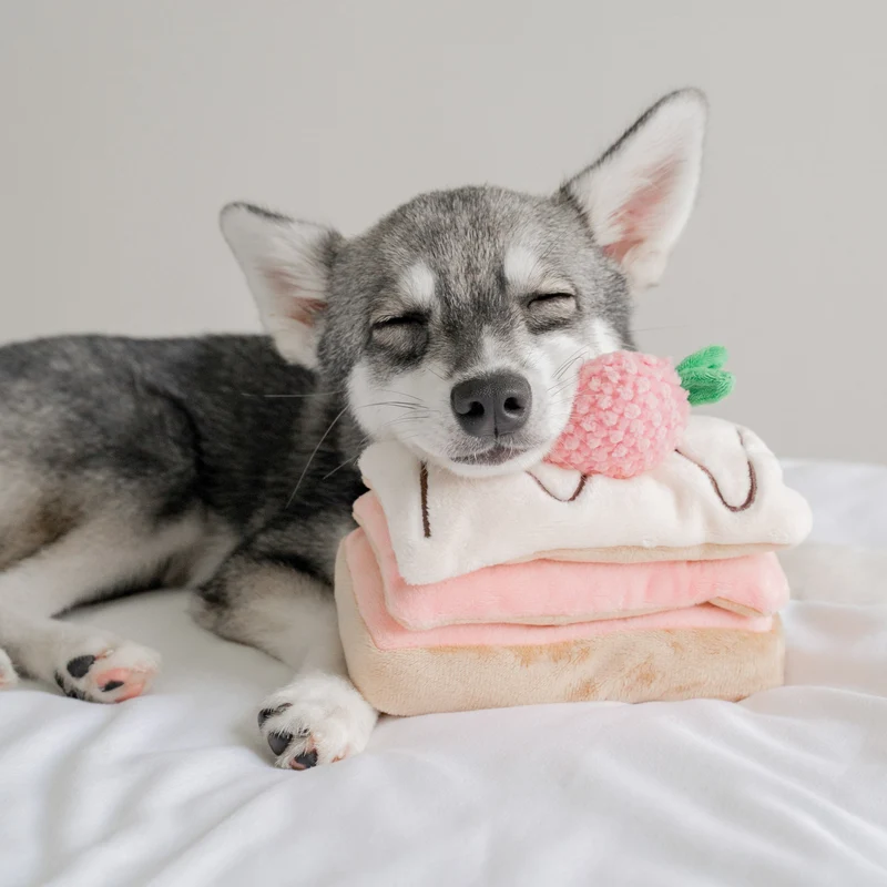 PUPS & BUBS - Strawberry Mille-Feuille Noswork