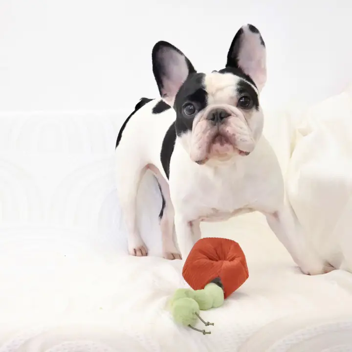 Lambwolf Nosework Apple