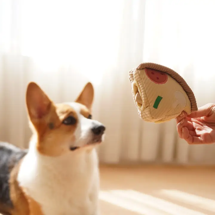 Lambwolf Nosework Pizza