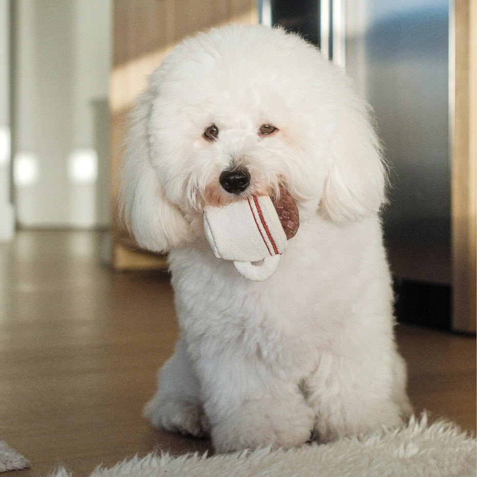 Lambwolf Nosework Espresso Pop