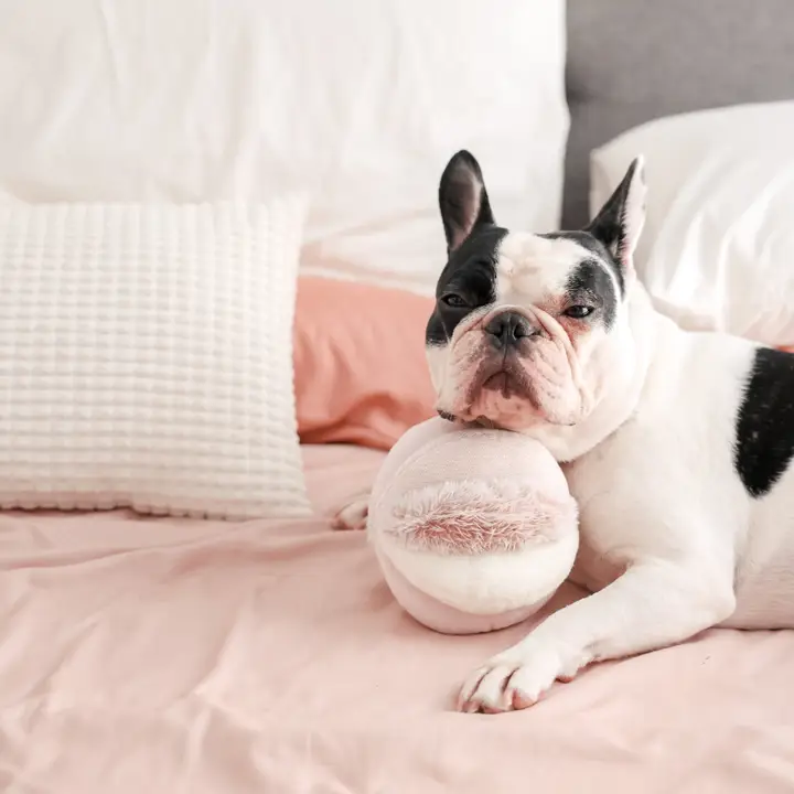 Lambwolf Nosework Snuffle Ball Pink