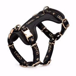 LIU JO PETS -  Jaquard H-Sele
