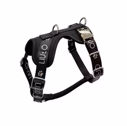 LIU JO PETS -  Jaquard H-Sele