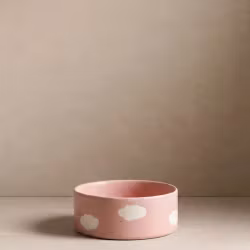 EGG BACK HOME - Rosa Moln Skål 16,5cm