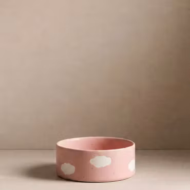 EGG BACK HOME - Rosa Moln Skål 16,5cm
