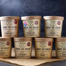 LOR - Doggy Diy Ice Cream Banana